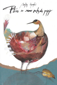 Ilustracija5